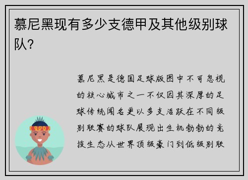 慕尼黑现有多少支德甲及其他级别球队？